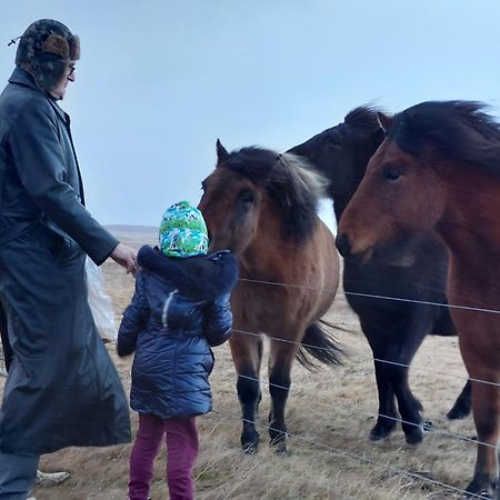 Bikers Paradise Ólafsvík エクステリア 写真