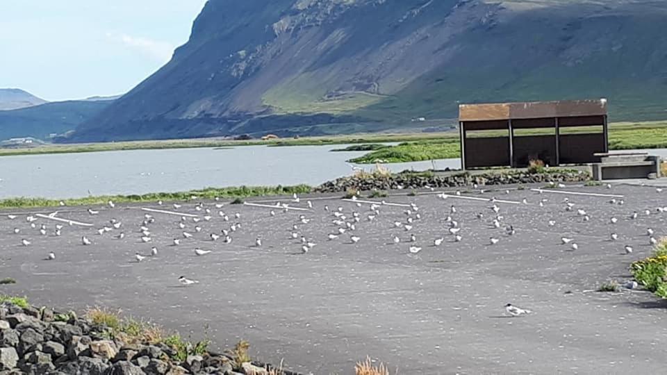 Bikers Paradise Ólafsvík エクステリア 写真